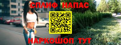 СК Ставрополь