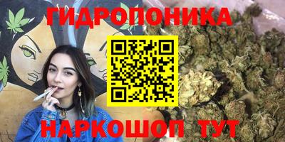 a pvp Старая Купавна