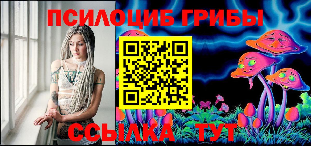Галлюциногенные грибы Psilocybe  Вход с VPN  Нижневартовск 